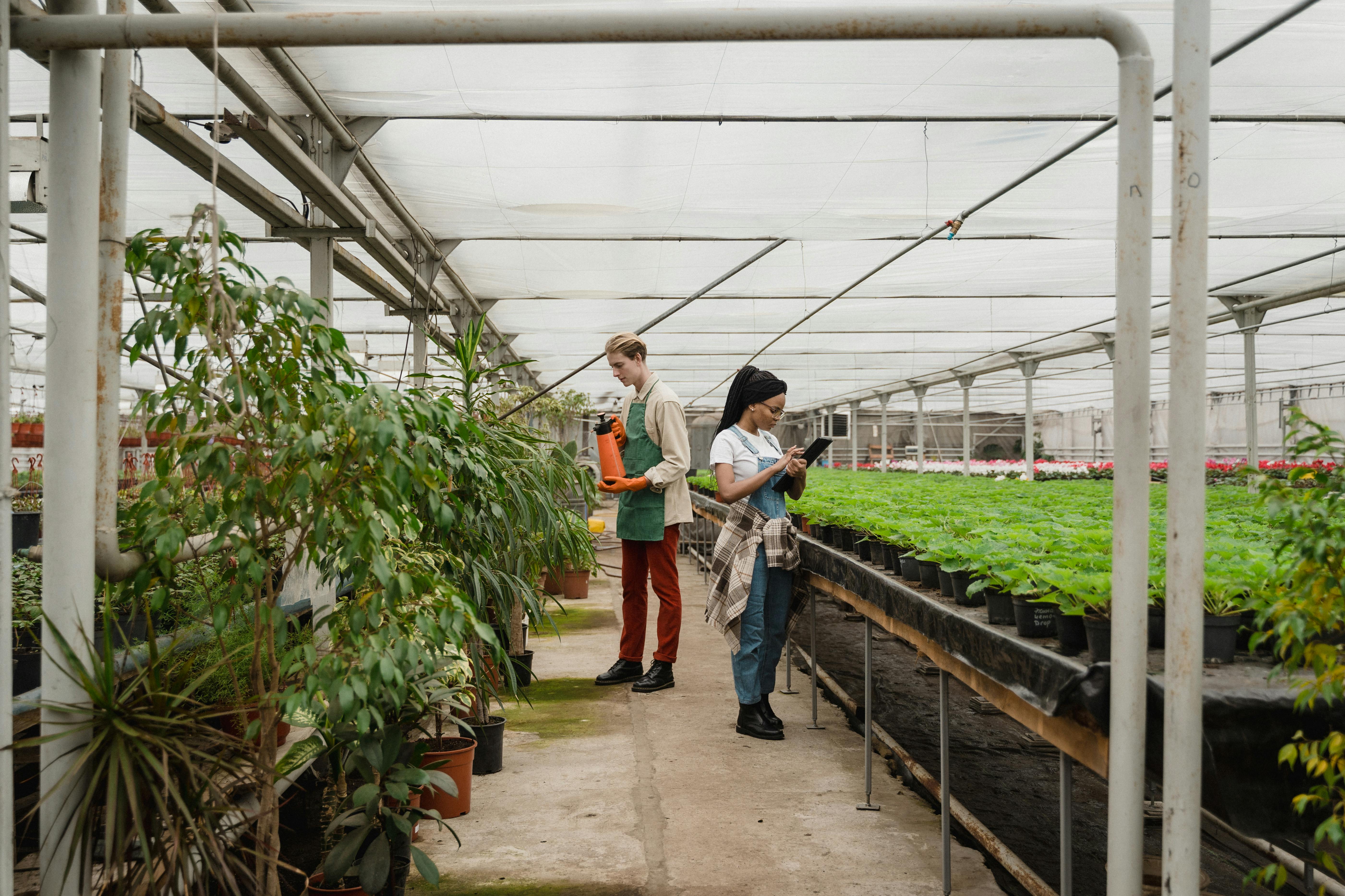 Stardew Valley Best Crop for Greenhouse: Maximize Your Profit Year-Round